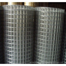 Hot Dipped Galvanized Hardware Cloth / Galvanized Welded Wire Mesh